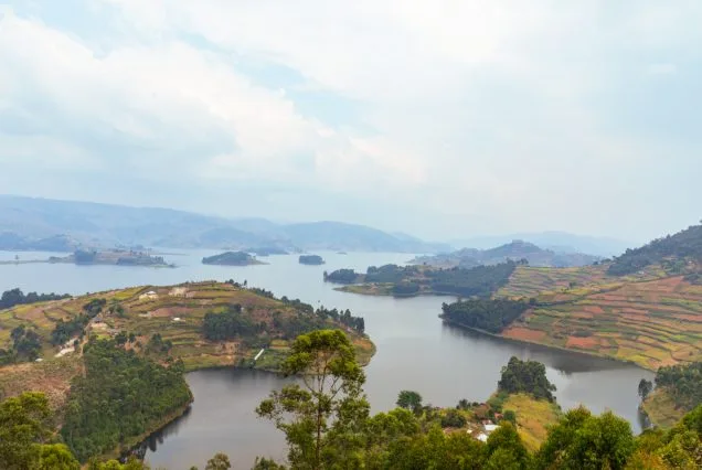 5 Days: Uganda Gorilla & Lake Bunyonyi Escape